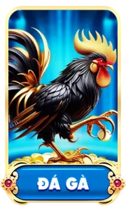 đá gà